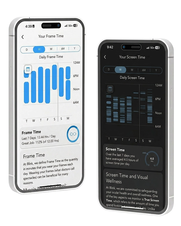 Blink® Frames App Interface